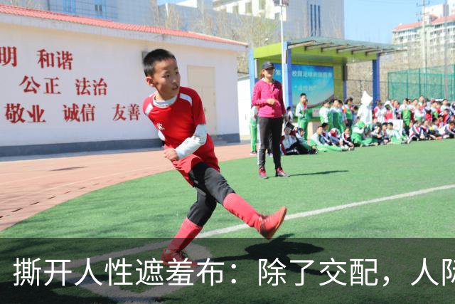 撕开人性遮羞布：除了交配，人际关系全是交易