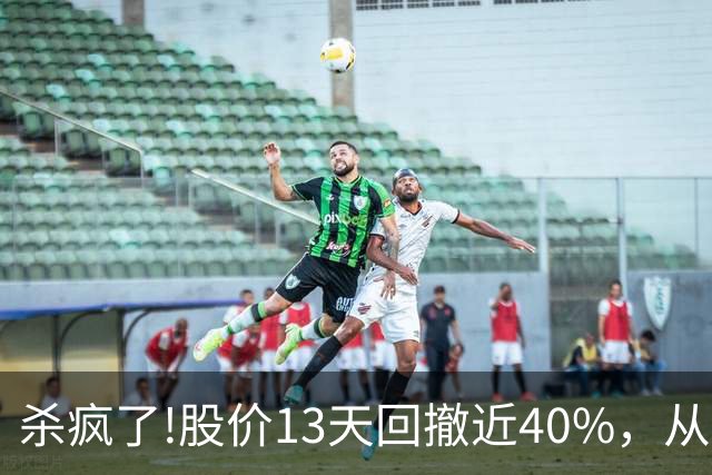 杀疯了!股价13天回撤近40%，从高点248.3砸至153.01!出现12连阴!