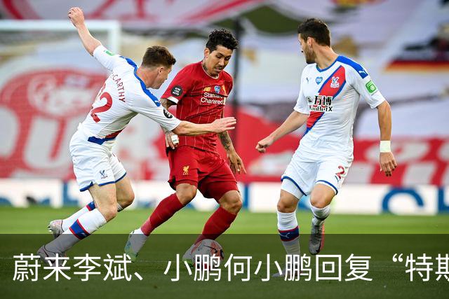 蔚来李斌、小鹏何小鹏回复“特斯拉空中翻滚技术”