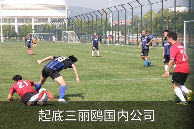 起底三丽鸥国内公司