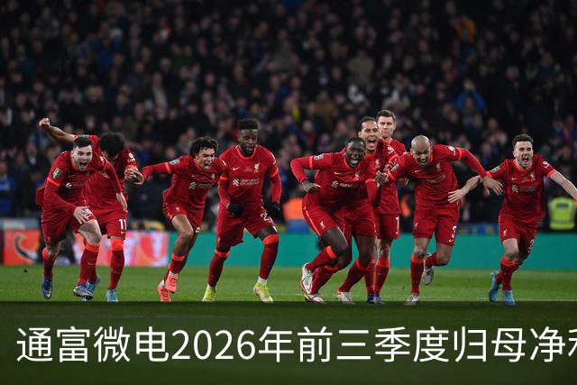 通富微电2026年前三季度归母净利润30.61亿元，同比增长255.68%